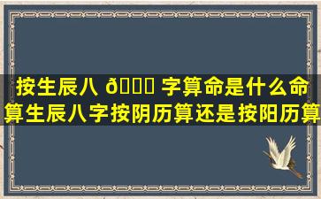 按生辰八 🐒 字算命是什么命「算生辰八字按阴历算还是按阳历算」